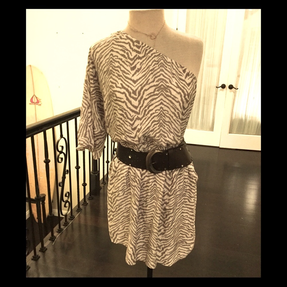 Express silky zebra print dress